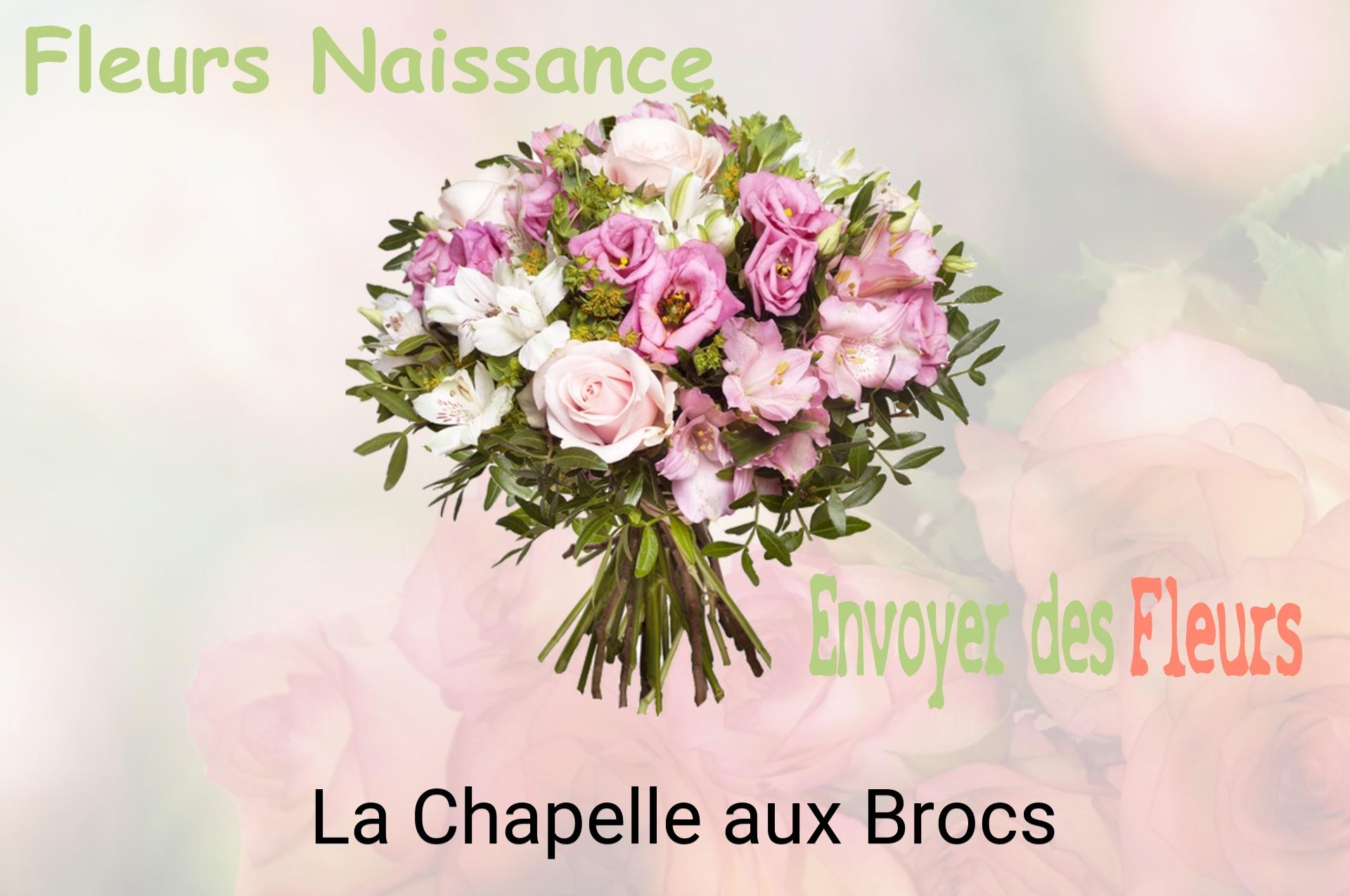 Bouquet de fleurs de naissance livré à La Chapelle-aux-Brocs